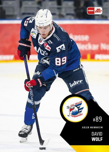 Wolf David 23-24 Playercards DEL #222
