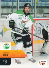 Lilja Andreas 14-15 Playercards Allsvenskan #224