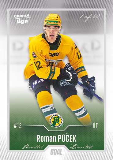 Půček Roman 22-23 GOAL Cards Chance liga Silver #225