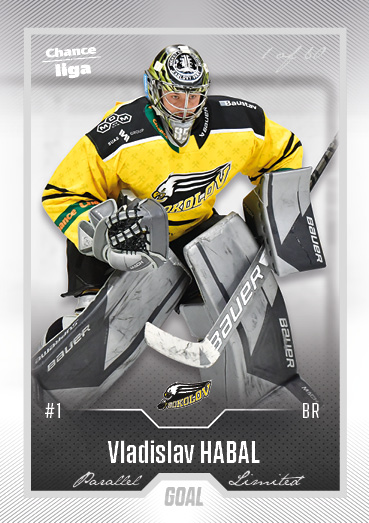 Habal Vladislav 22-23 GOAL Cards Chance liga Silver #231