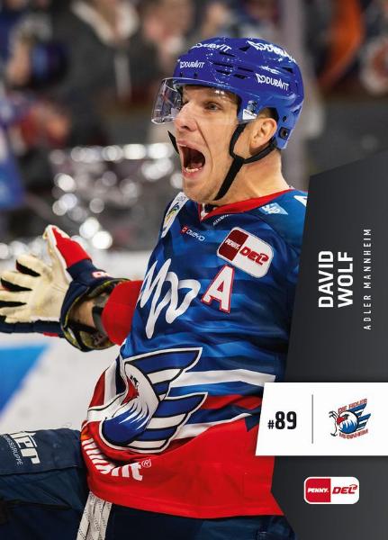 Wolf David 22-23 Playercards DEL #245