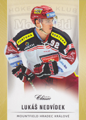 Nedvídek Lukáš 16-17 OFS Classic #260