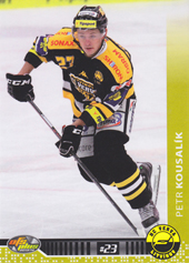 Kousalík Petr 13-14 OFS Plus #283