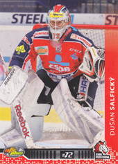 Salfický Dušan 13-14 OFS Plus #291