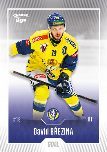 Březina David 22-23 GOAL Cards Chance liga #297
