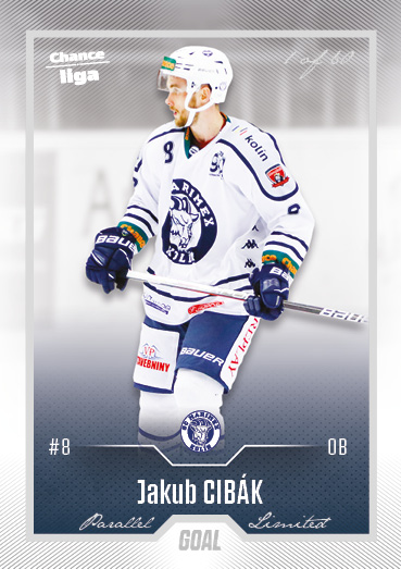 Cibák Jakub 22-23 GOAL Cards Chance liga Silver #316