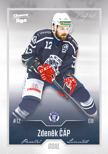 Čáp Zdeněk 22-23 GOAL Cards Chance liga Silver #317