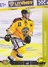 Stříteský Matěj 13-14 OFS Plus #333