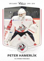 Hamerlík Peter 18-19 OFS Classic #339
