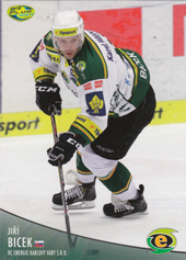 Bicek Jiří 12-13 OFS Plus Dotisk 1 #369
