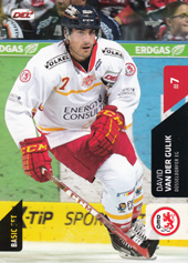 van der Gulik David 15-16 Playercards DEL #371