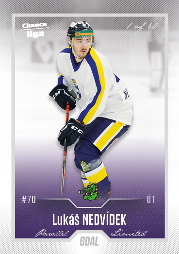 Nedvídek Lukáš 22-23 GOAL Cards Chance liga Silver #382