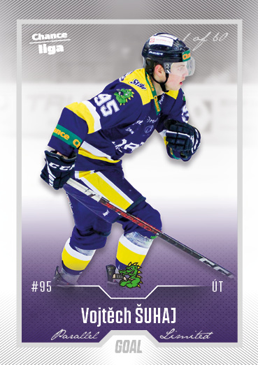 Šuhaj Vojtěch 22-23 GOAL Cards Chance liga Silver #384