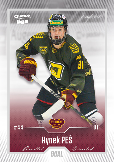 Peš Hynek 22-23 GOAL Cards Chance liga Silver #408