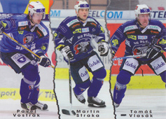 Vostřák Straka Vlasák 09-10 OFS Plus Dotisk 2 #446