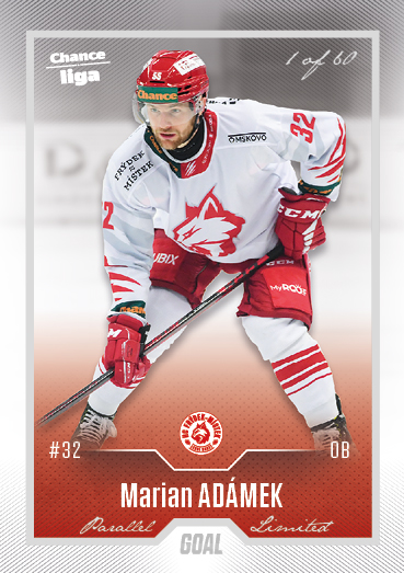 Adámek Marian 22-23 GOAL Cards Chance liga Silver #465