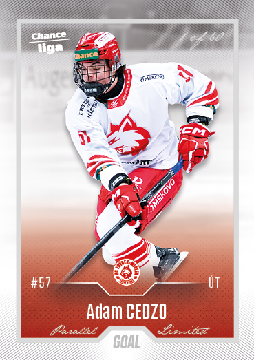 Cedzo Adam 22-23 GOAL Cards Chance liga Silver #468