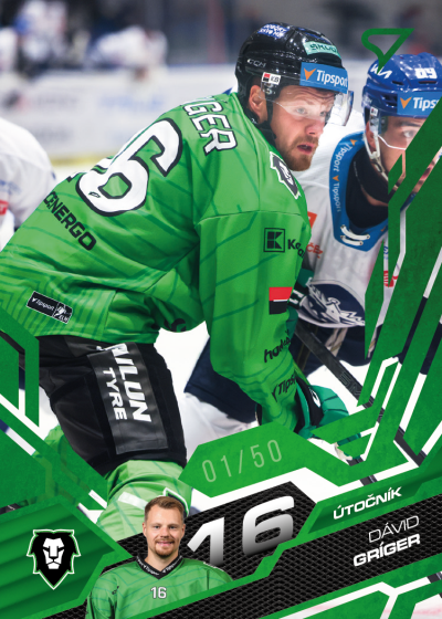 Gríger Dávid 25-26 Tipsport Extraliga Green #118