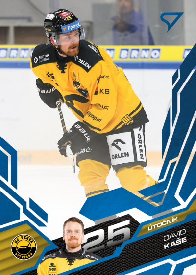 Kaše David 25-26 Tipsport Extraliga Blue #159
