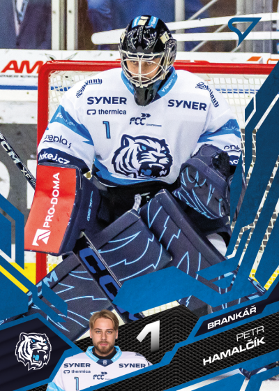 Hamalčík Petr 25-26 Tipsport Extraliga Blue #181