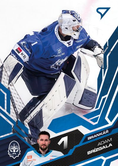 Brízgala Adam 25-26 Tipsport Extraliga Blue #217