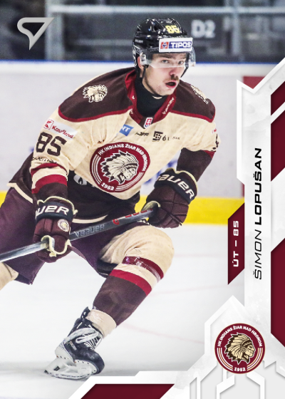 Lopušan Šimon 25-26 Slovenská hokejová liga #45