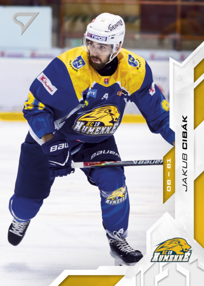 Cibák Jakub 25-26 Slovenská hokejová liga #50