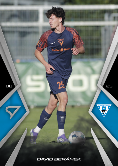 Beránek David 25-26 Chance NL #38