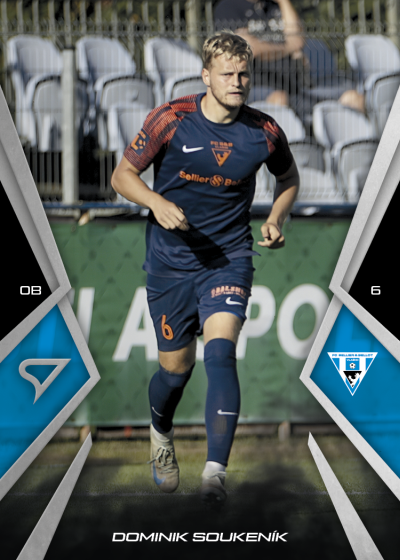 Soukeník Dominik 25-26 Chance NL #42