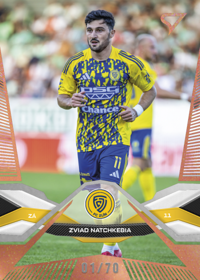 Natchkebia Zviad 25-26 Chance Liga Copper #189