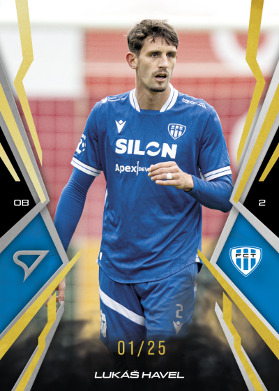 Havel Lukáš 25-26 Chance NL Gold #14
