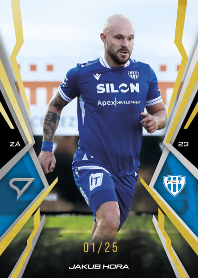 Hora Jakub 25-26 Chance NL Gold #21