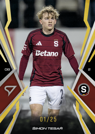 Tesař Šimon 25-26 Chance NL Gold #29