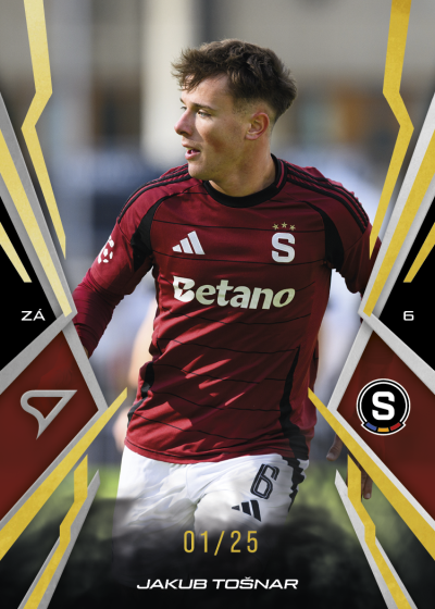 Tošnar Jakub 25-26 Chance NL Gold #32