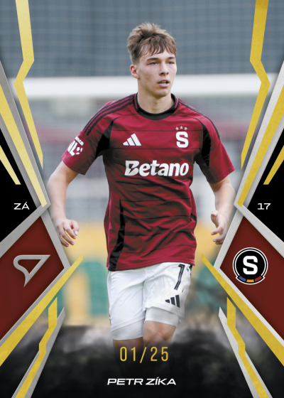 Zíka Petr 25-26 Chance NL Gold #33