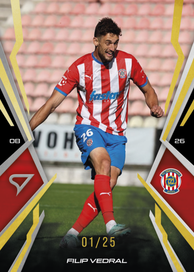 Vedral Filip 25-26 Chance NL Gold #53