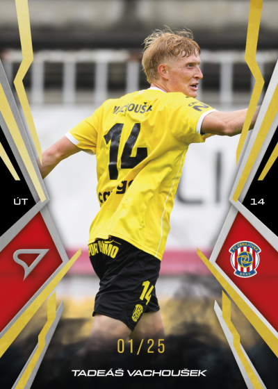 Vachoušek Tadeáš 25-26 Chance NL Gold #58