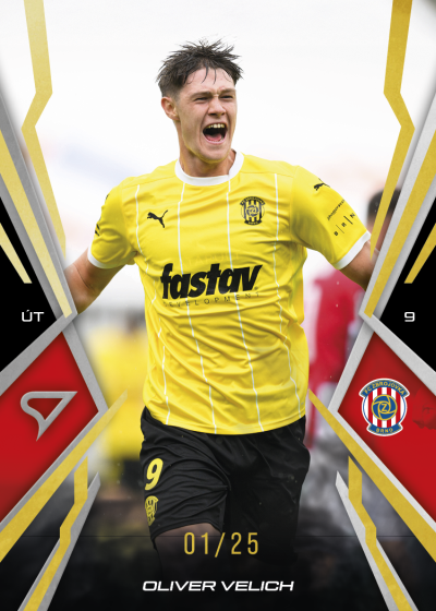 Velich Oliver 25-26 Chance NL Gold #59