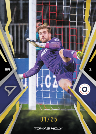 Holý Tomáš 25-26 Chance NL Gold #60