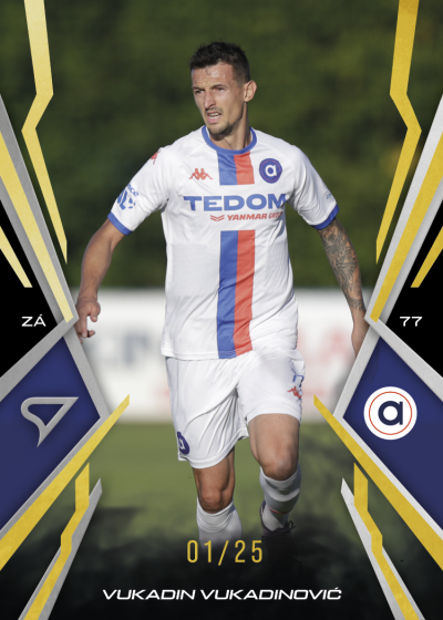 Vukadinović Vukadin 25-26 Chance NL Gold #67