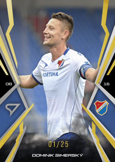 Simerský Dominik 25-26 Chance NL Gold #132