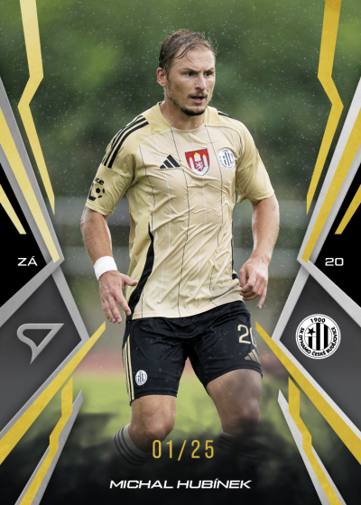 Hubínek Michal 25-26 Chance NL Gold #142