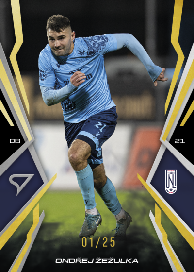 Žežulka Ondřej 25-26 Chance NL Gold #163