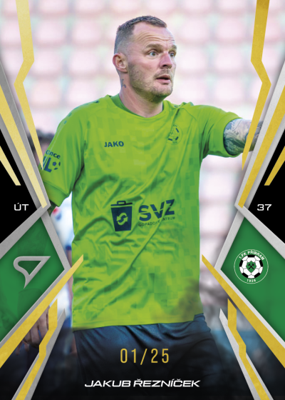 Řezníček Jakub 25-26 Chance NL Gold #179