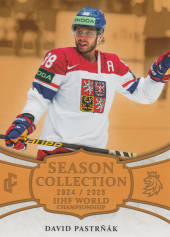 Pastrňák David 24-25 LC Reprezentace IIHF World Championship #WCH-19