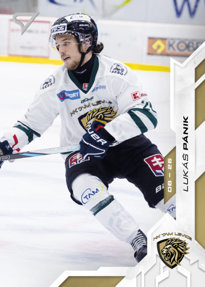 Pánik Lukáš 25-26 Slovenská hokejová liga #77