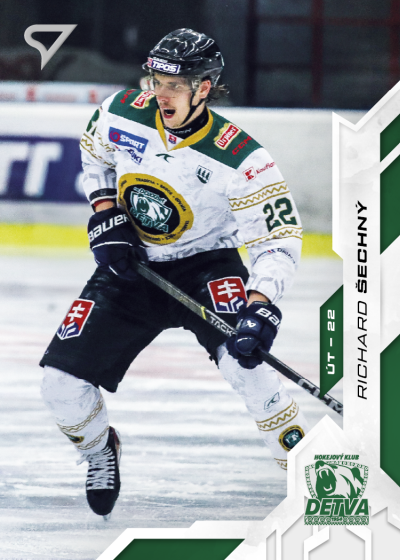 Šechný Richard 25-26 Slovenská hokejová liga #95