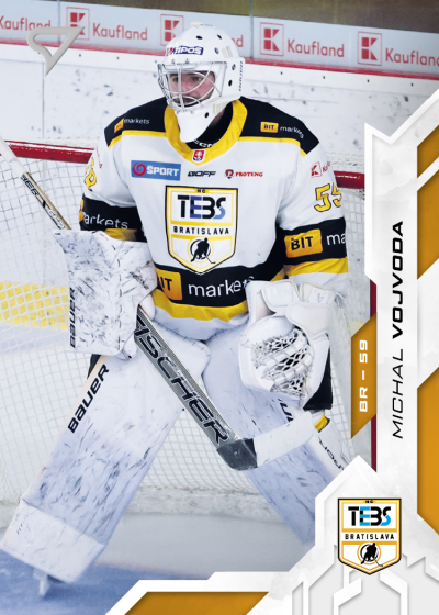 Vojvoda Michal 25-26 Slovenská hokejová liga #97