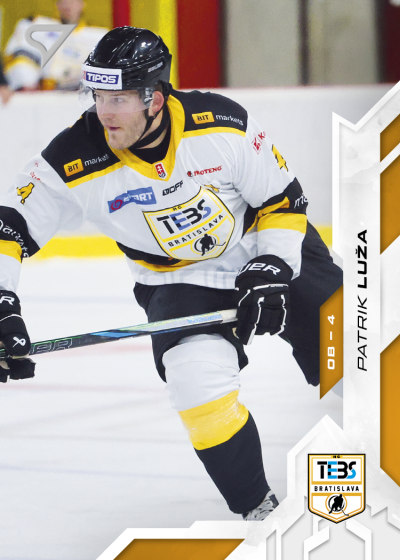 Luža Patrik 25-26 Slovenská hokejová liga #101