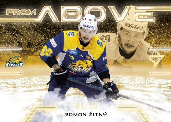 Žitný Roman 25-26 Slovenská hokejová liga From Above Gold #FA-09